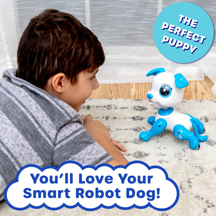 Robo Pet Dog STEM