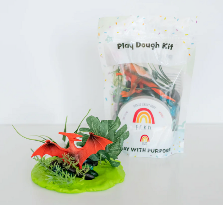 Play Dough Kit