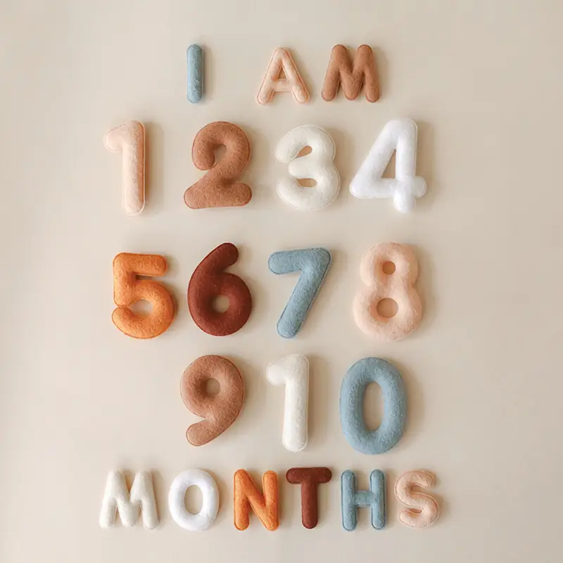 Monthly Milestone Felt Letters